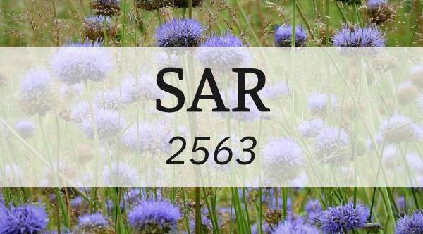 ดาวน์โหลดแบบฟอร์ม SAR 2563